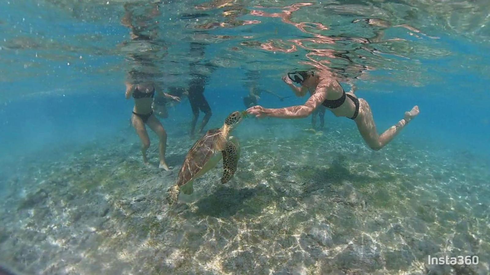 Living Trawangan Hotel Gili Trawangan Eksteriør bilde